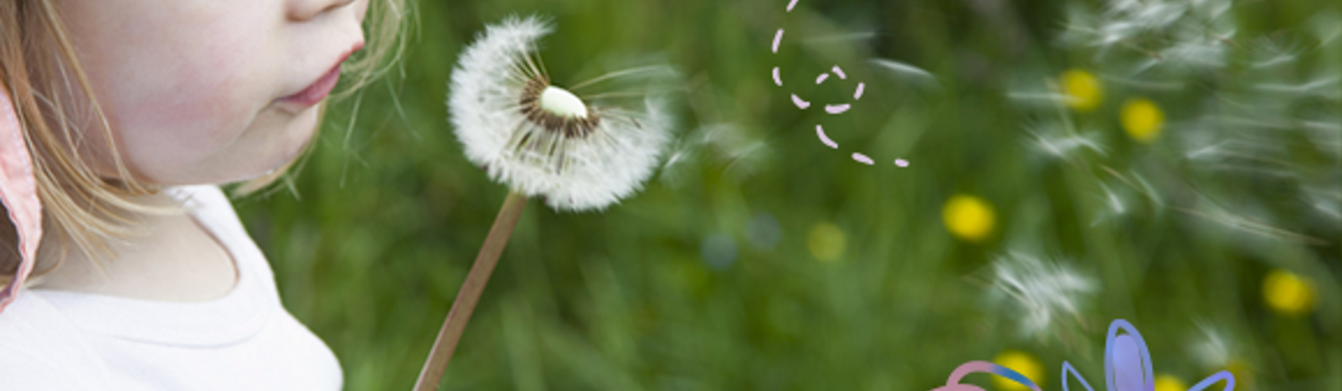 banner_allergy