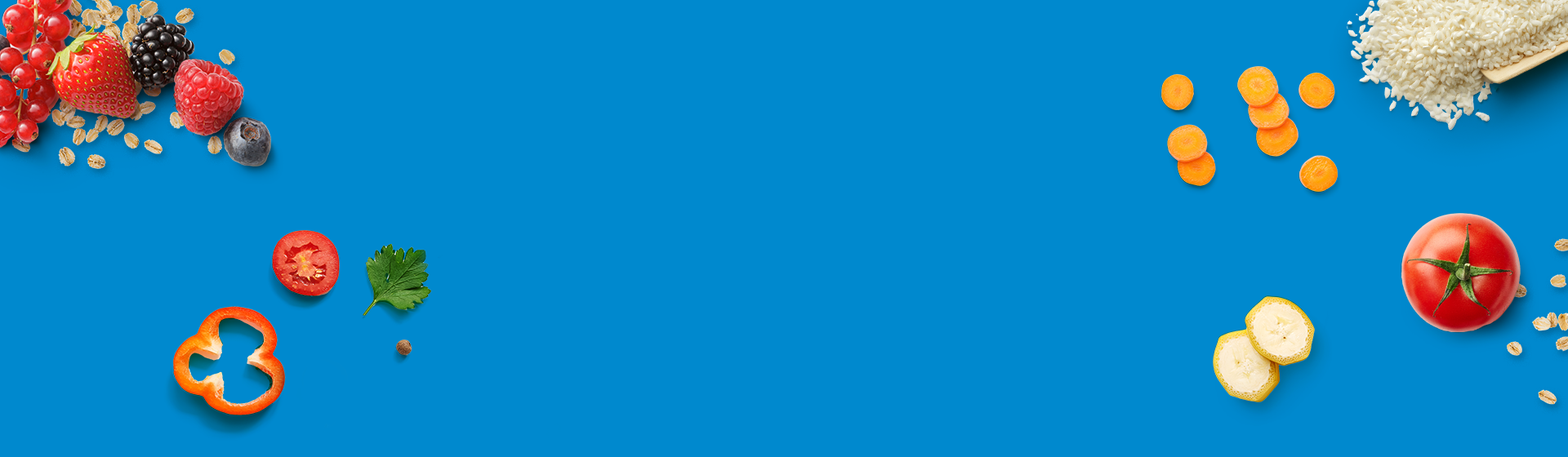Header-1920x560_Gerber-Brand-page